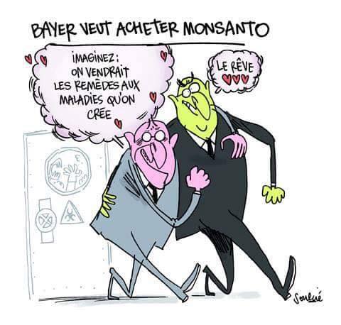 Bayer_Monsanto